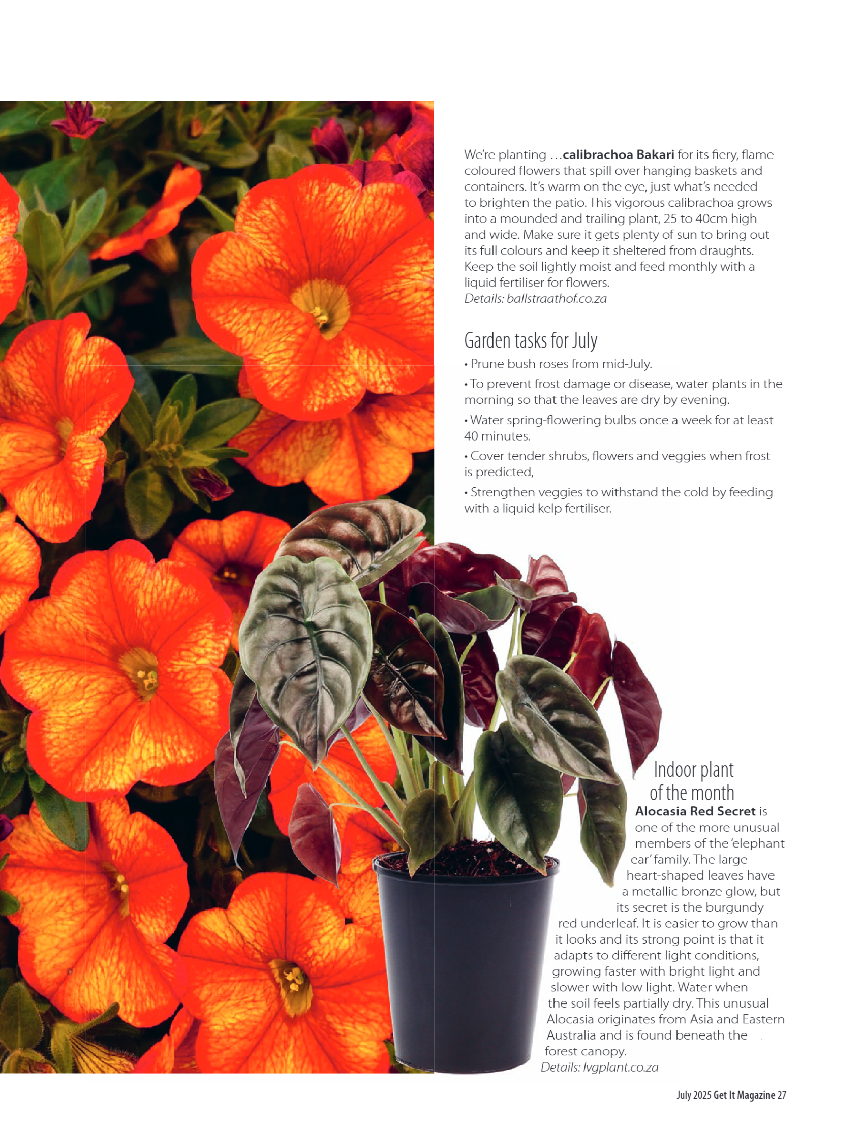 Get it JHB West – July 2025 page 27