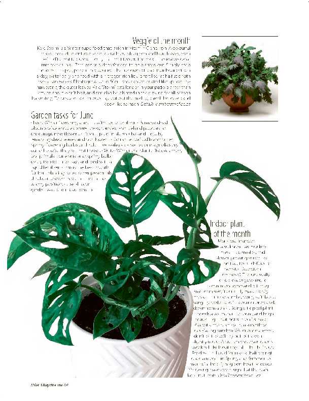 Get it JHB West – June 2021 page 22