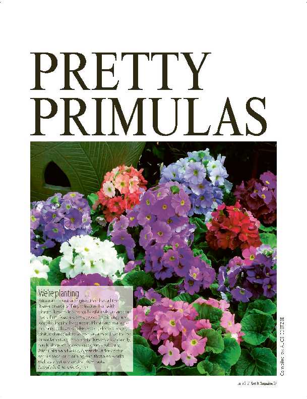 Get it JHB West – June 2021 page 23