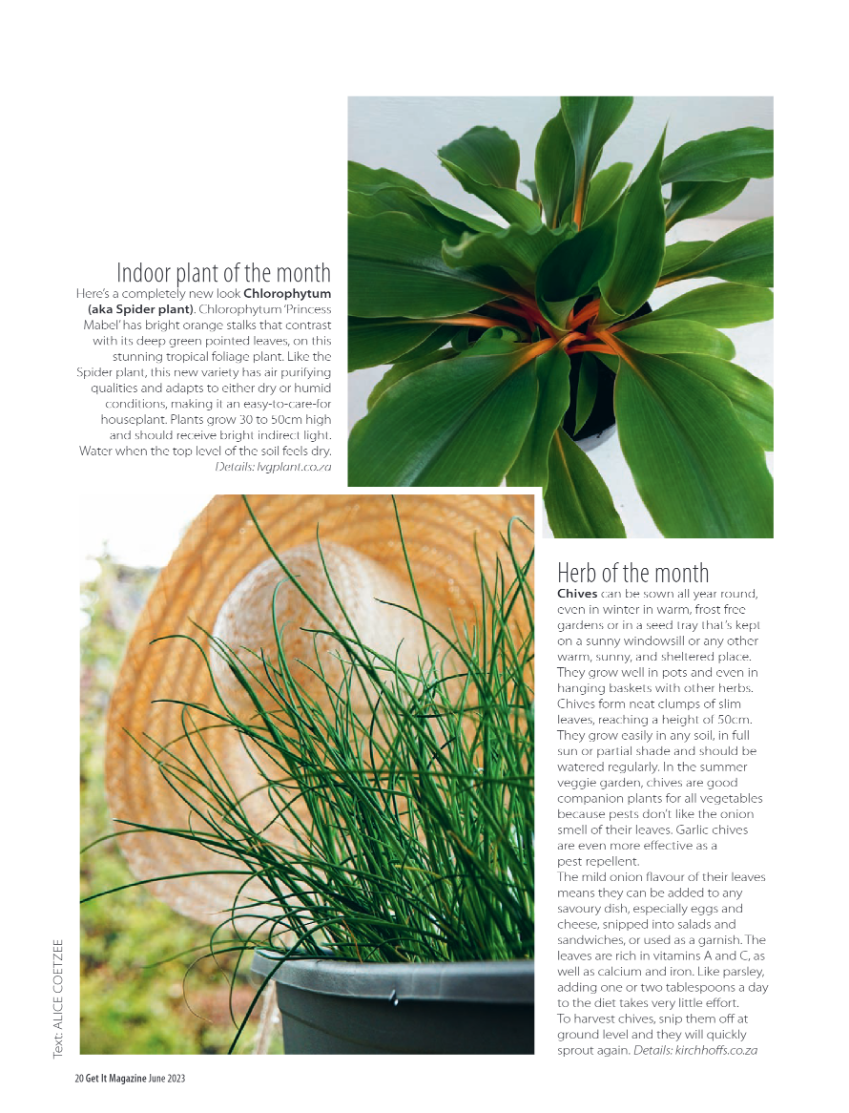 Get it JHB West – June 2023 page 20