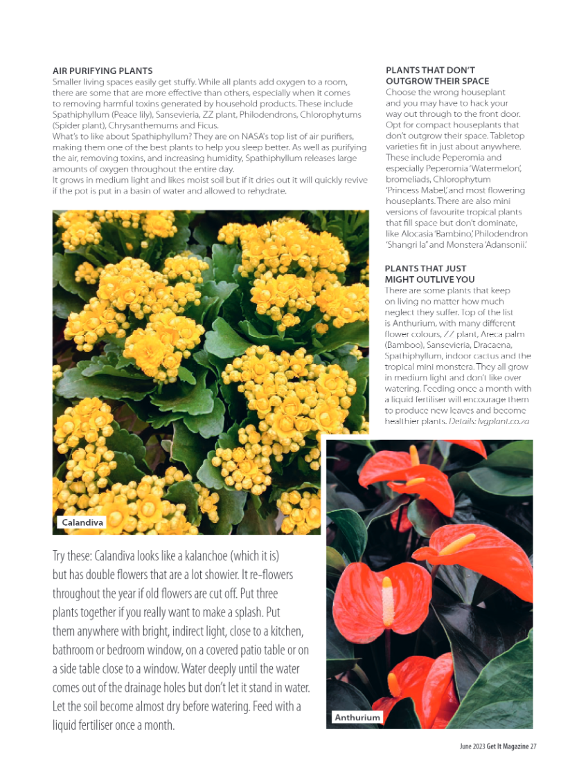 Get it JHB West – June 2023 page 27