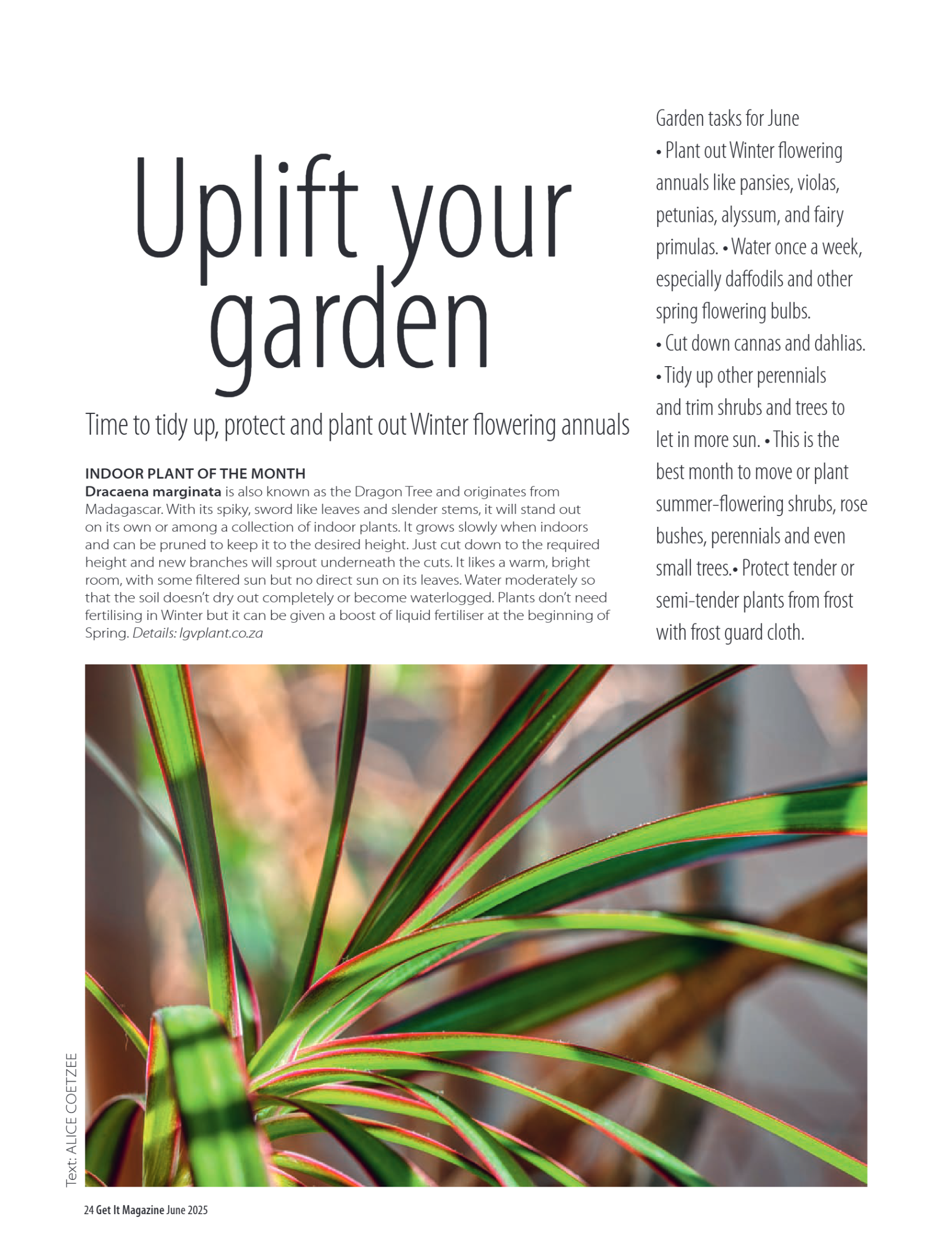 Get it JHB West – June 2025 page 24