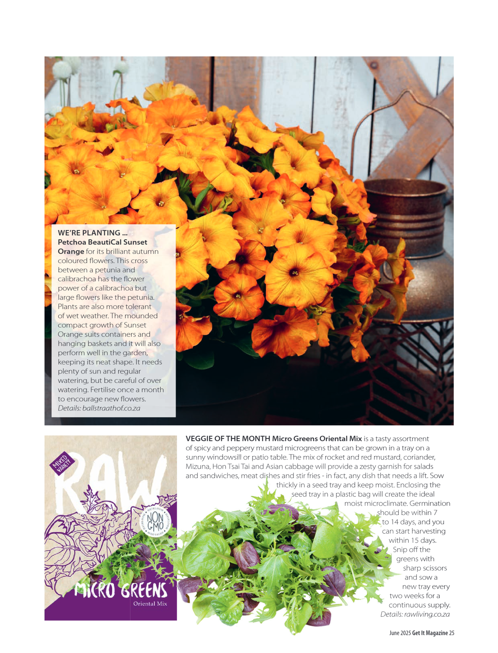 Get it JHB West – June 2025 page 25