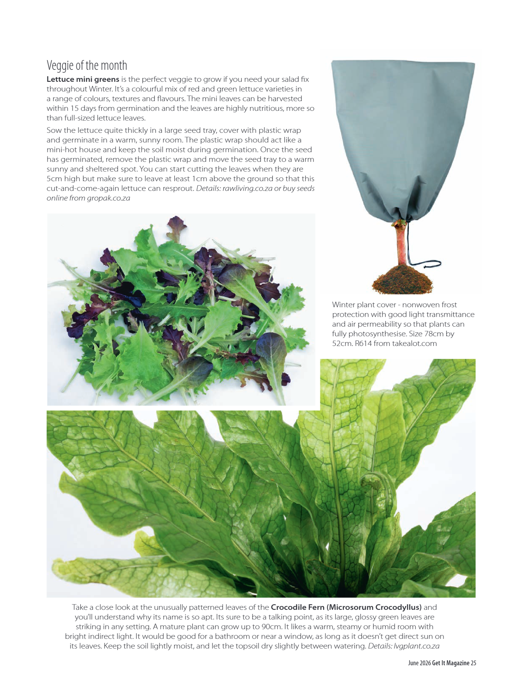 Get it JHB West – June 2026 page 25