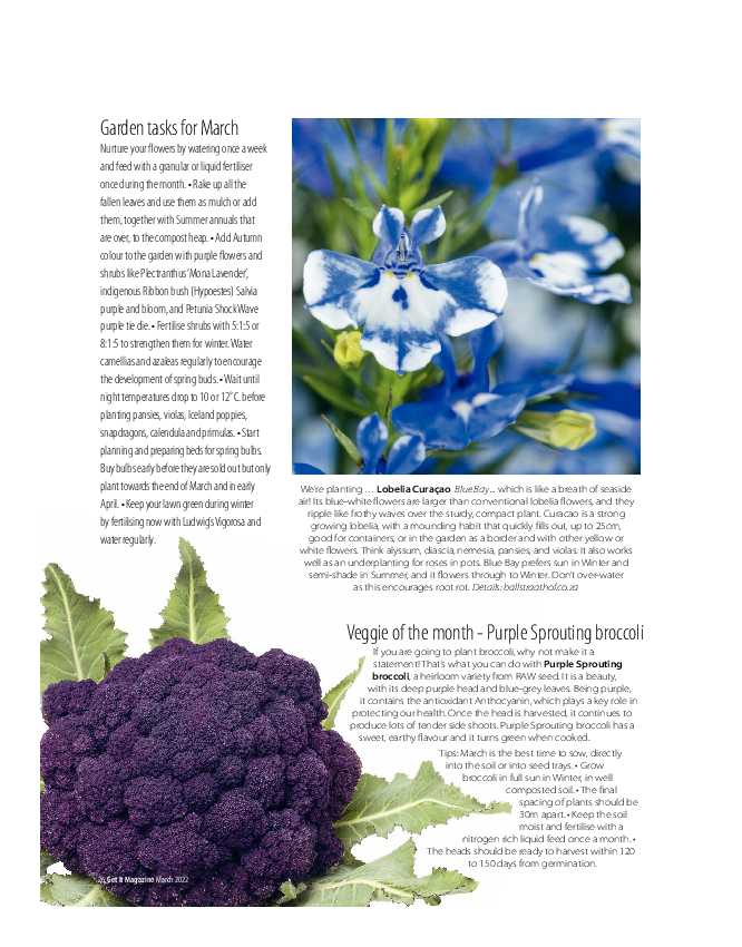 Get it JHB West – March 2022 page 26