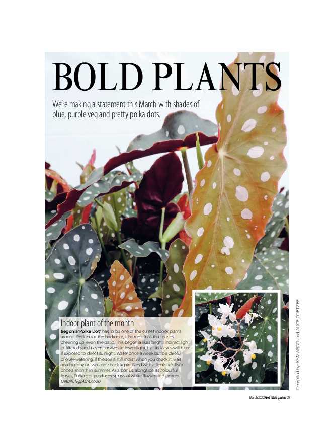 Get it JHB West – March 2022 page 27