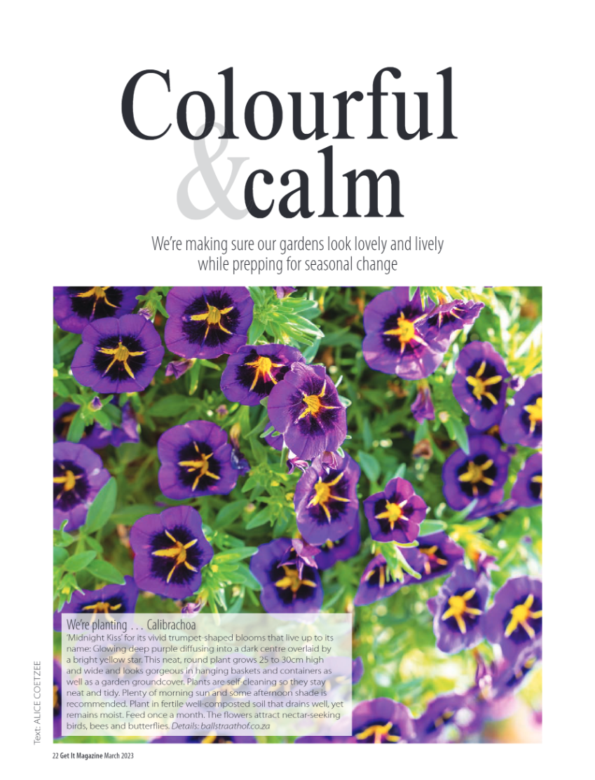 Get it JHB West – March 2023 page 22