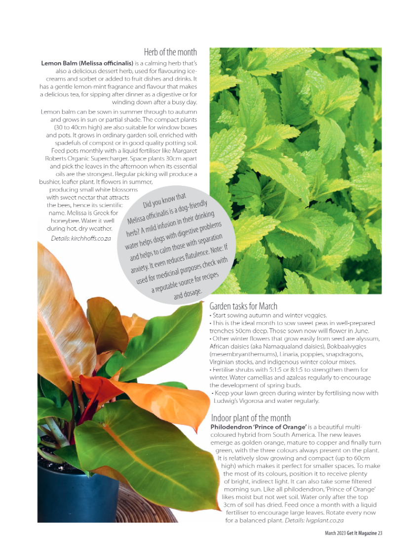 Get it JHB West – March 2023 page 23