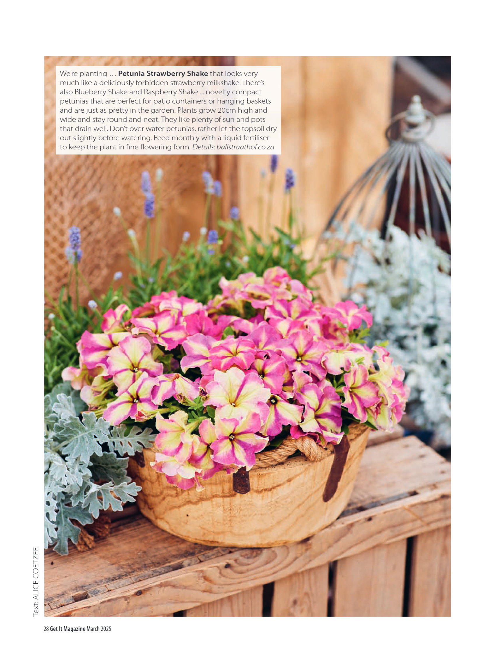 Get it JHB West – March 2024 page 28