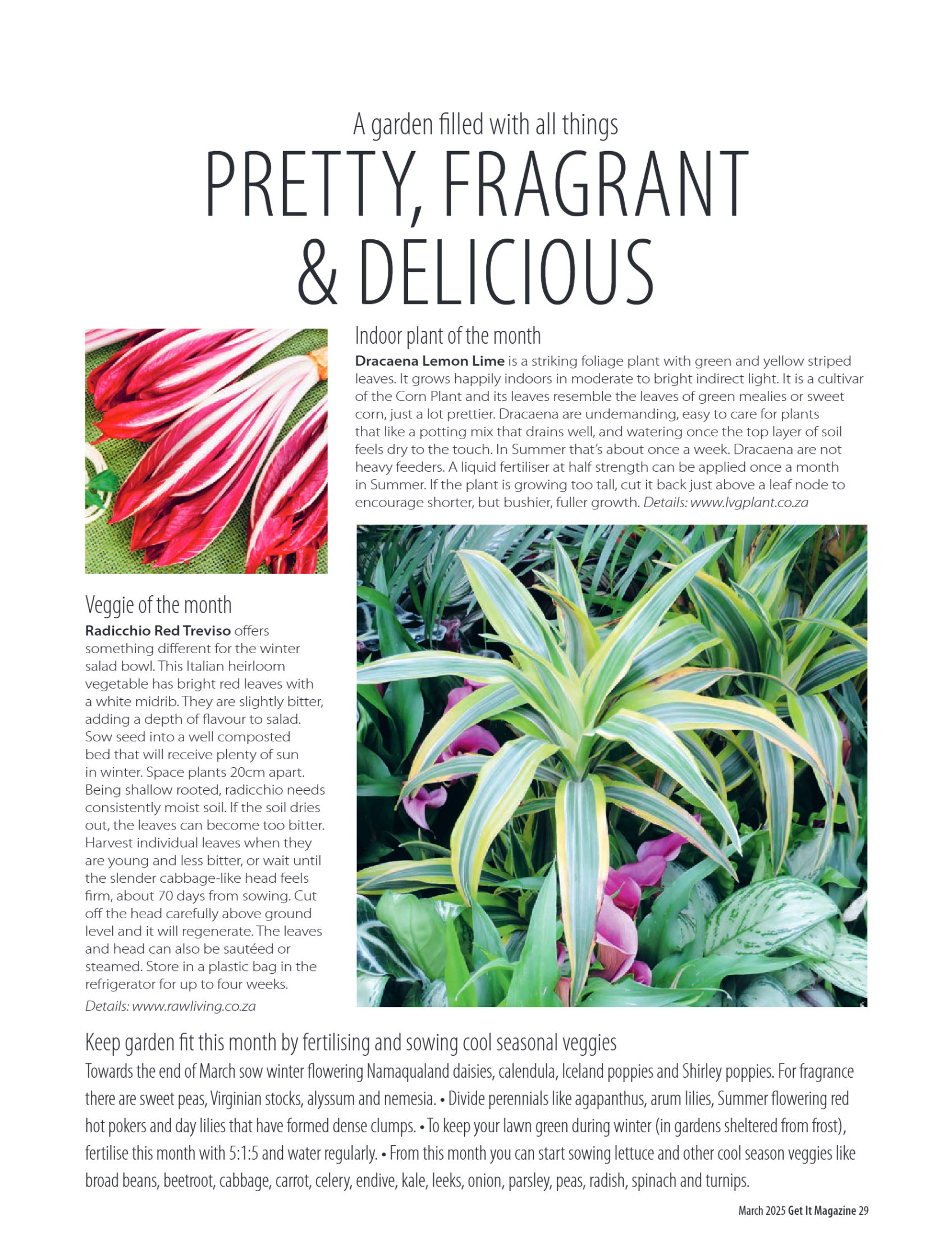 Get it JHB West – March 2024 page 29