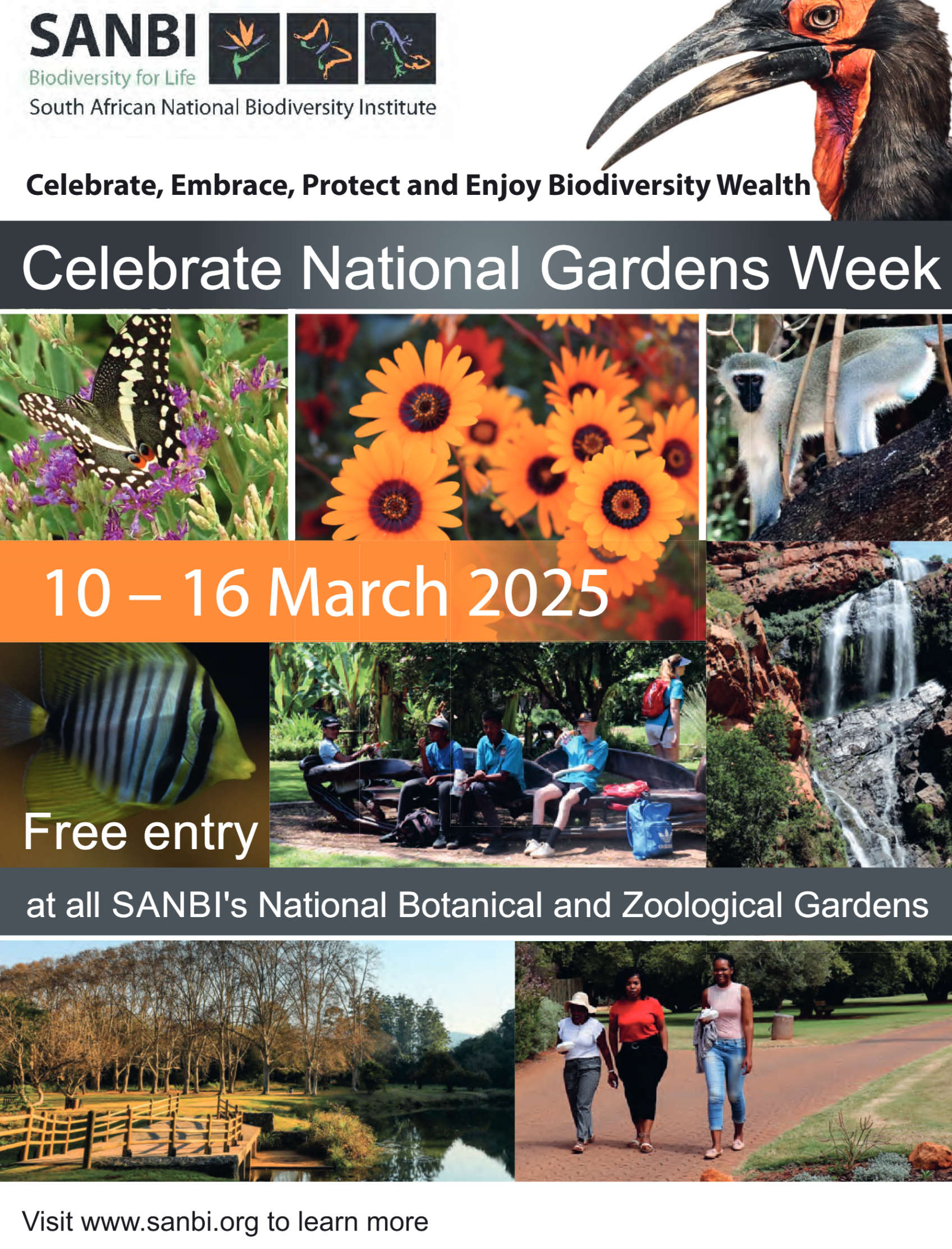 Get it JHB West – March 2024 page 36