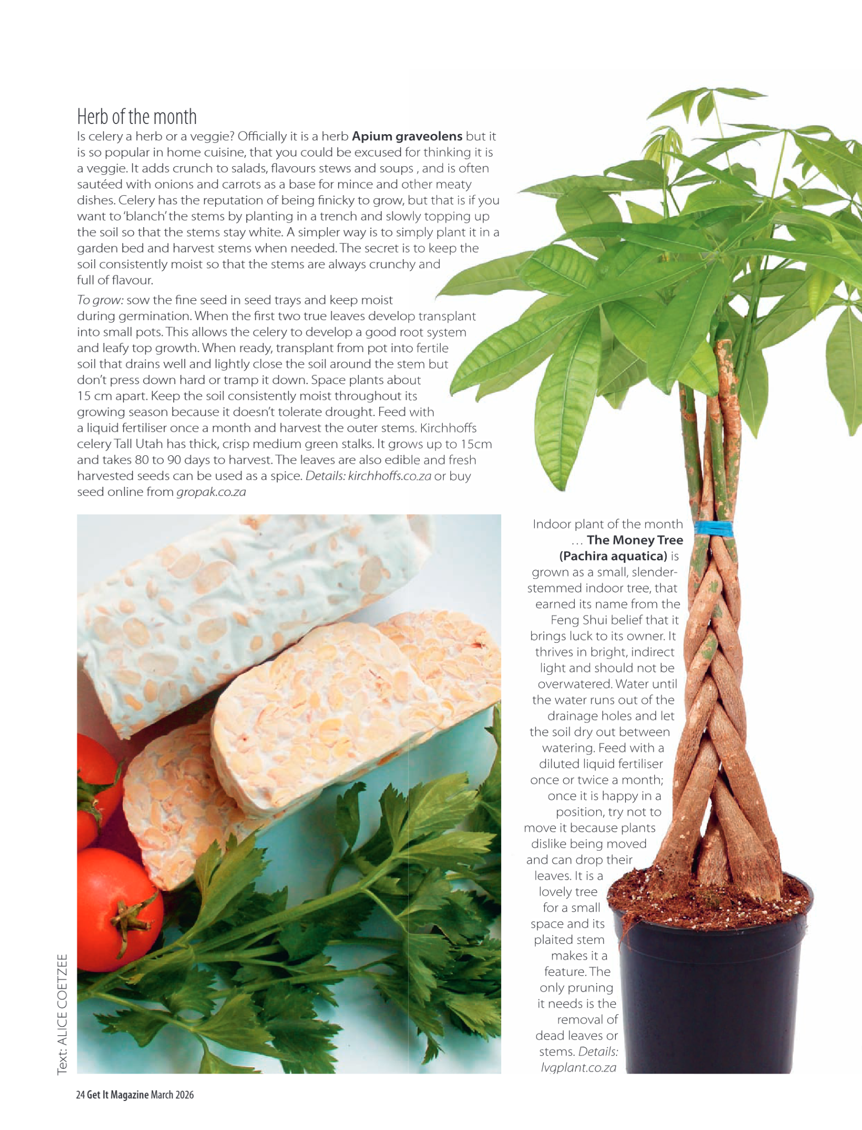 Get it JHB West – March 2026 page 24