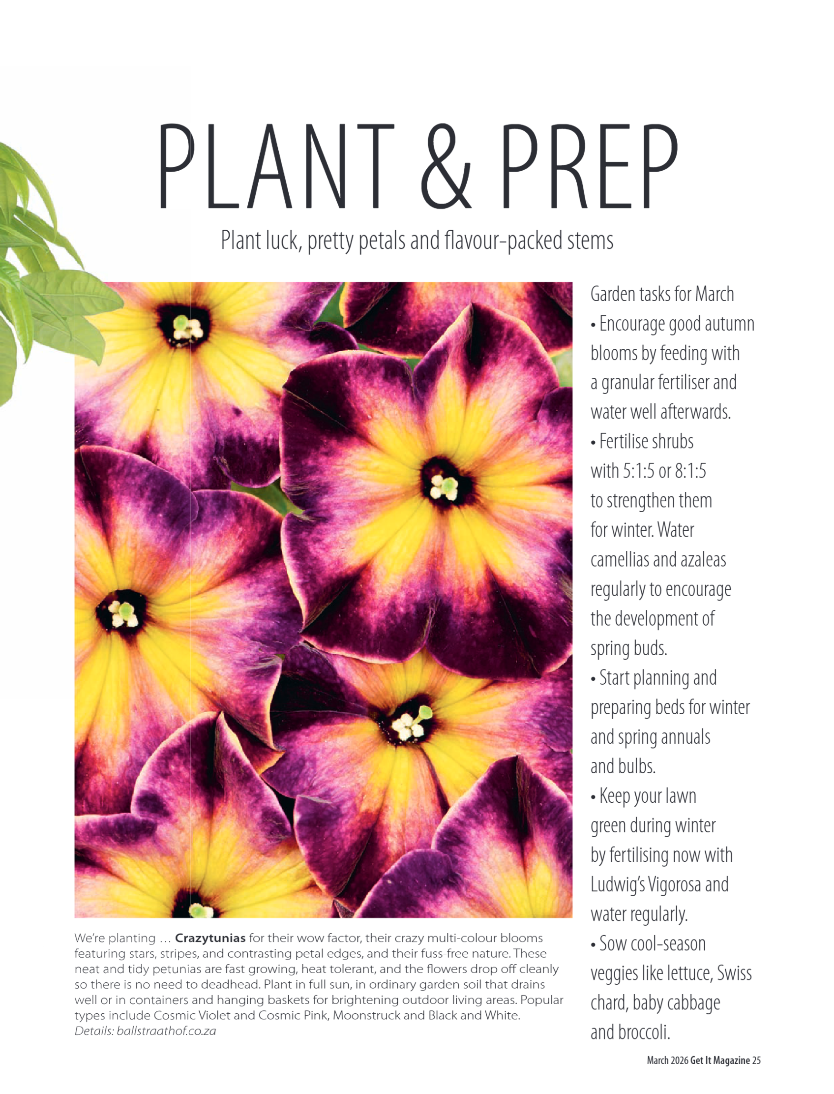 Get it JHB West – March 2026 page 25