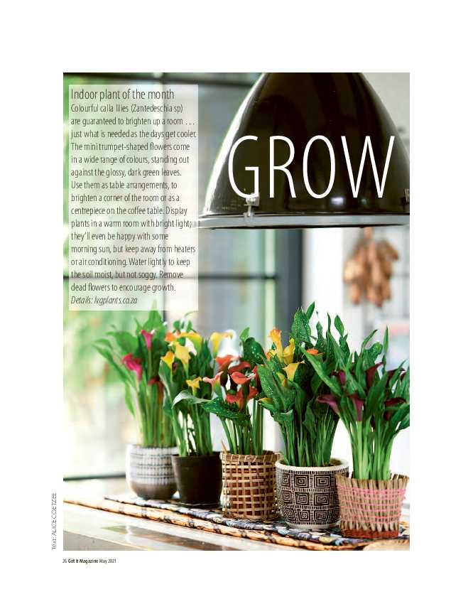 Get it JHB West – May 2021 page 26