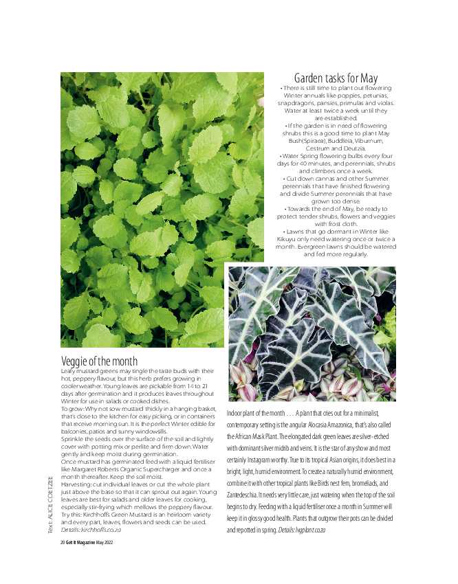 Get it JHB West – May 2022 page 20