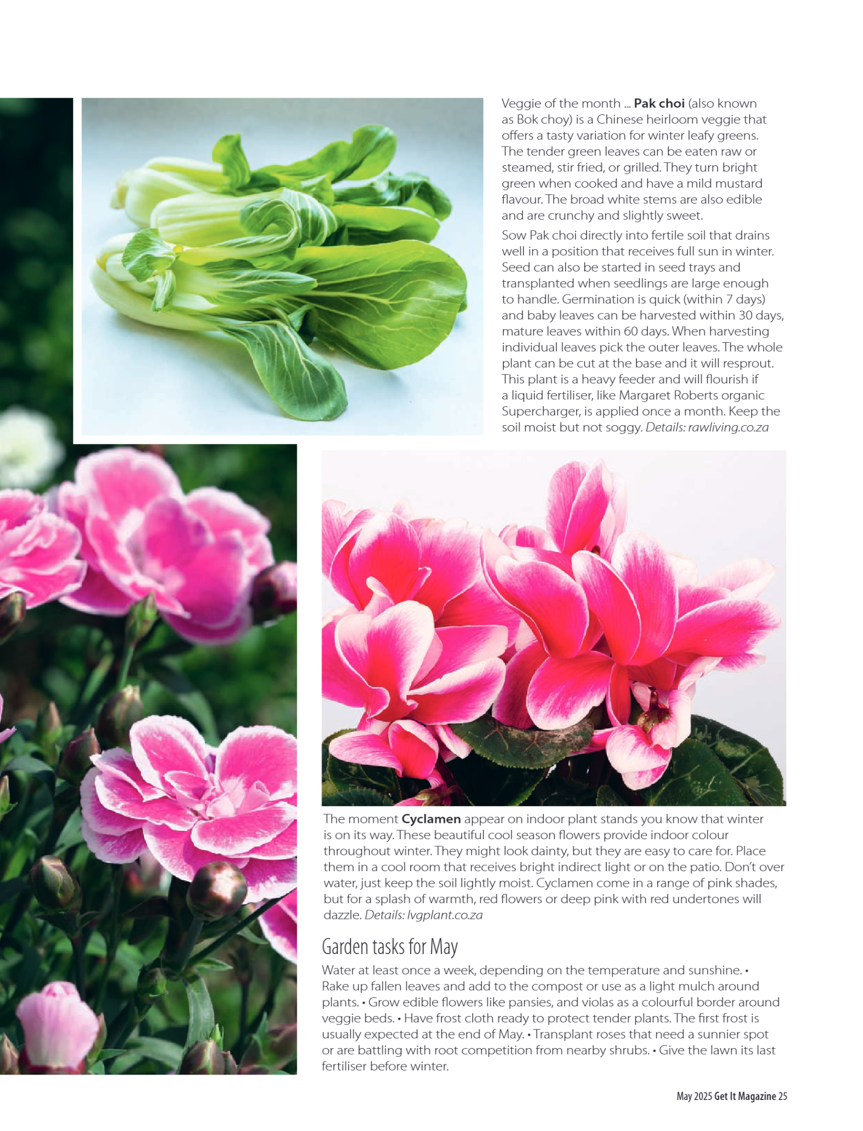 Get it JHB West – May 2025 page 25