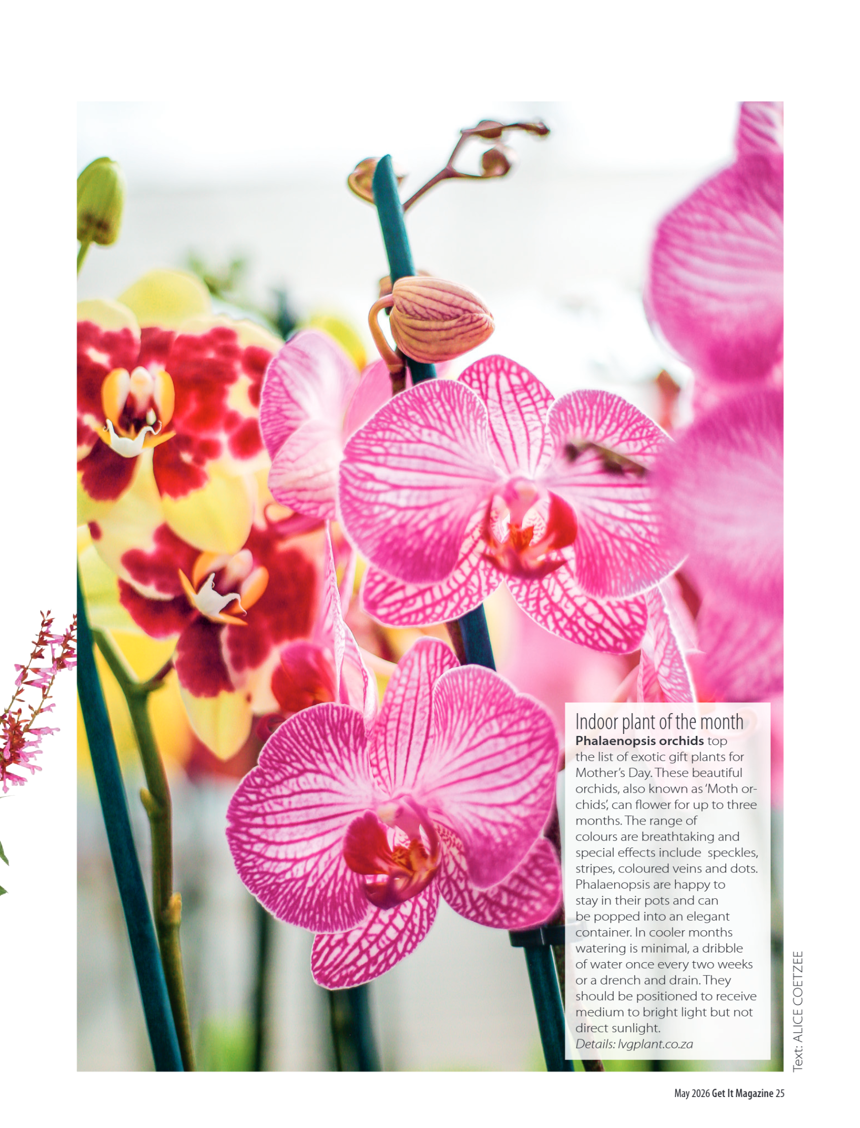 Get it JHB West – May 2026 page 25