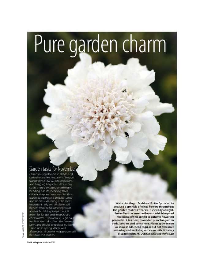 Get it JHB West – November 2021 page 26