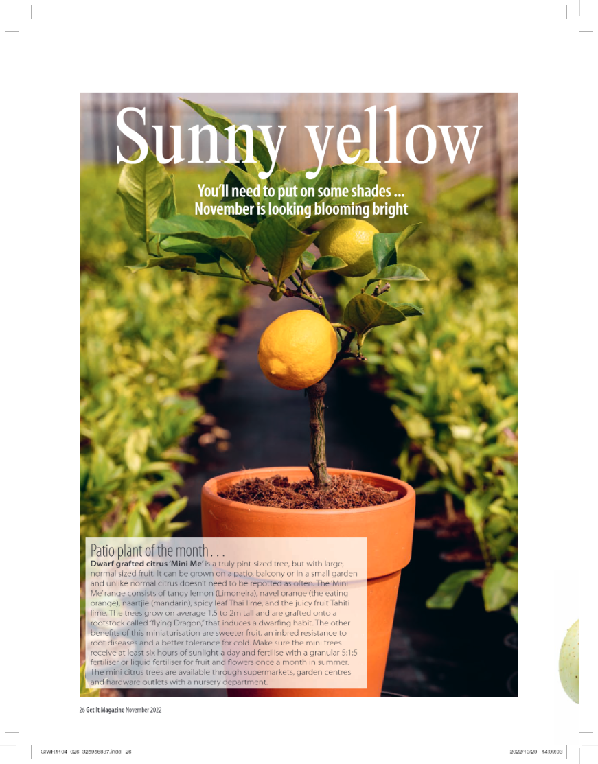 Get it JHB West – November 2022 page 26