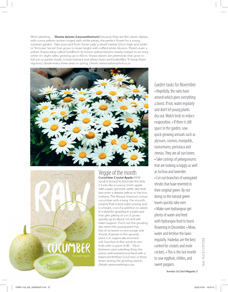 Get it JHB West – November 2022 page 27