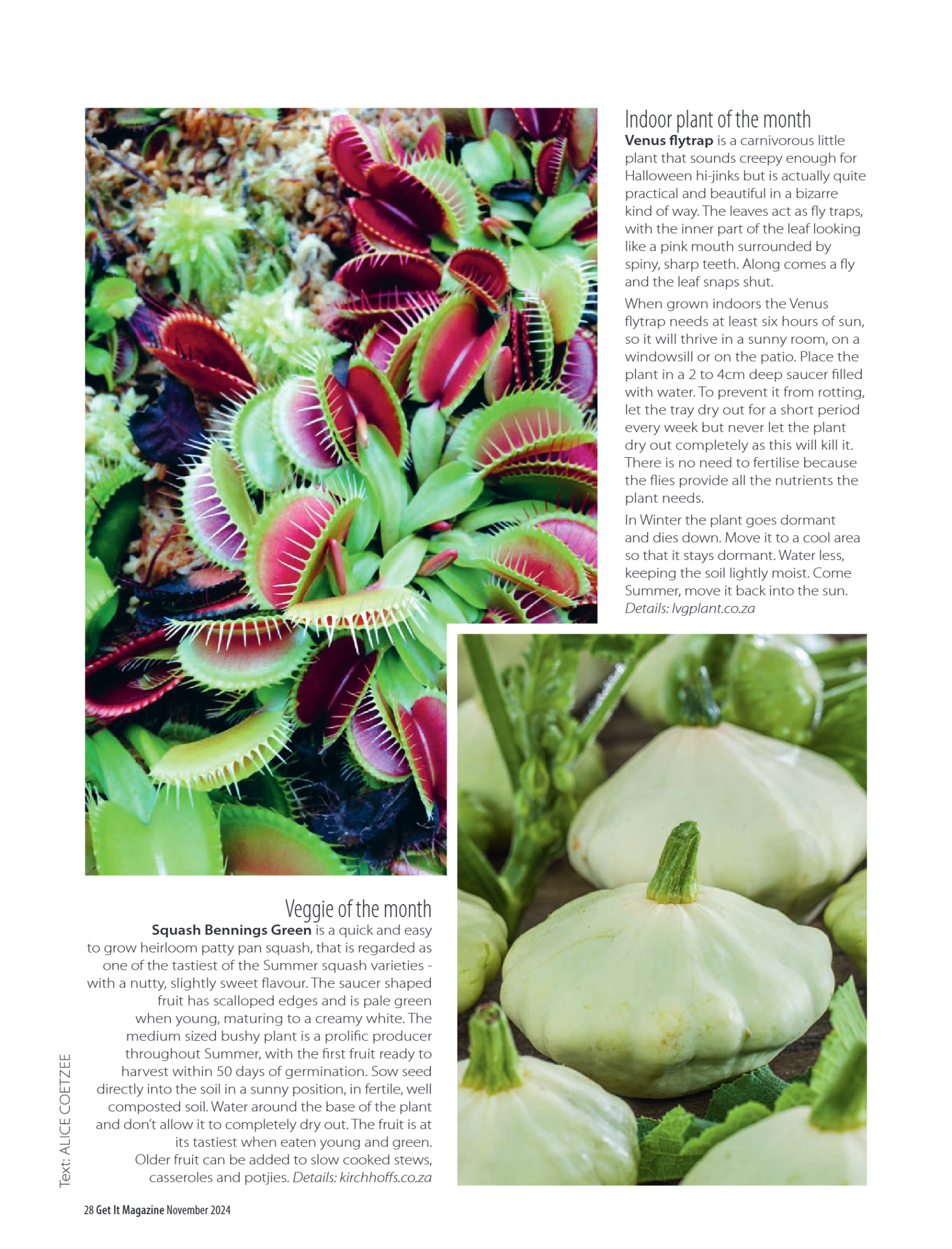 Get it JHB West – November 2024 page 28