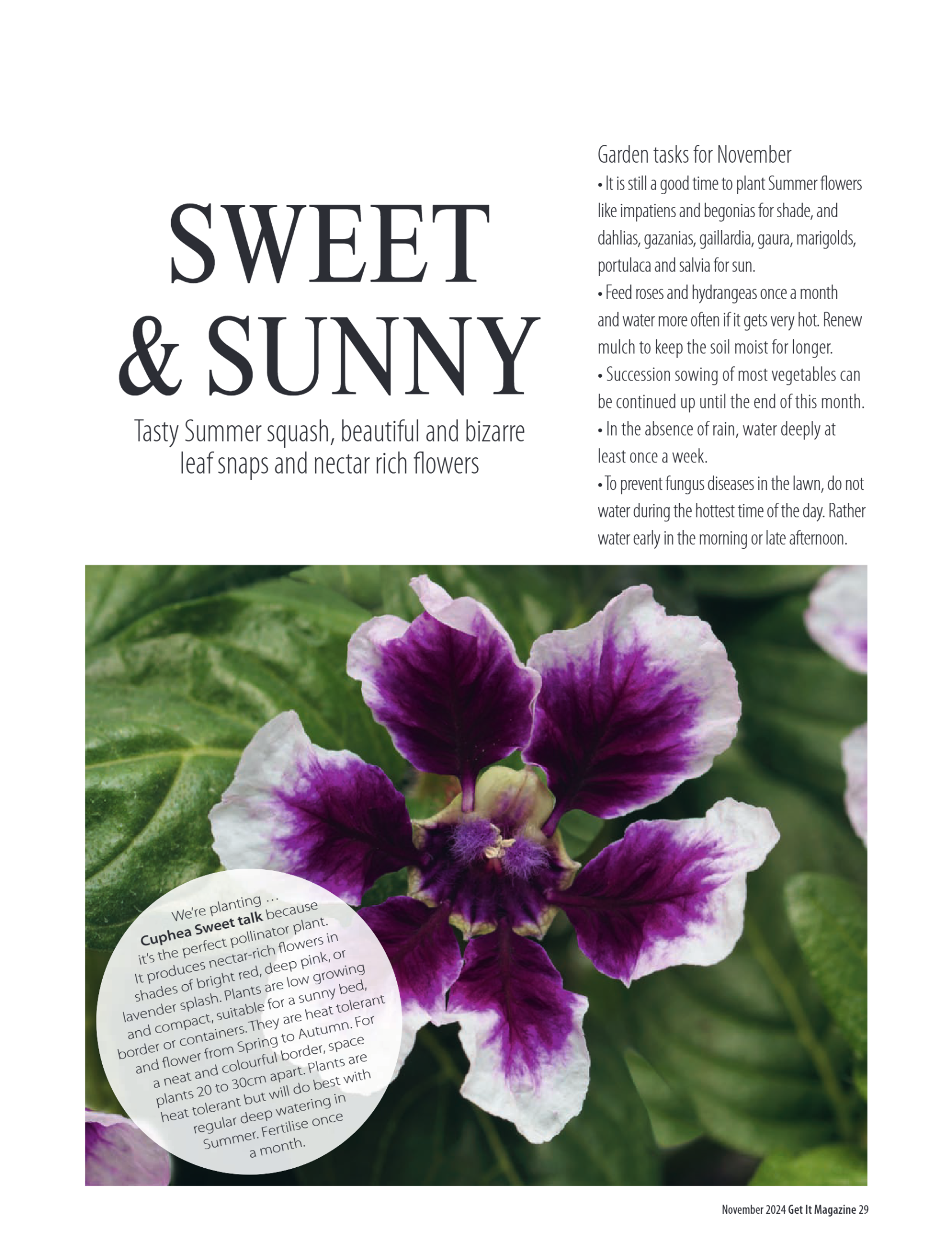 Get it JHB West – November 2024 page 29