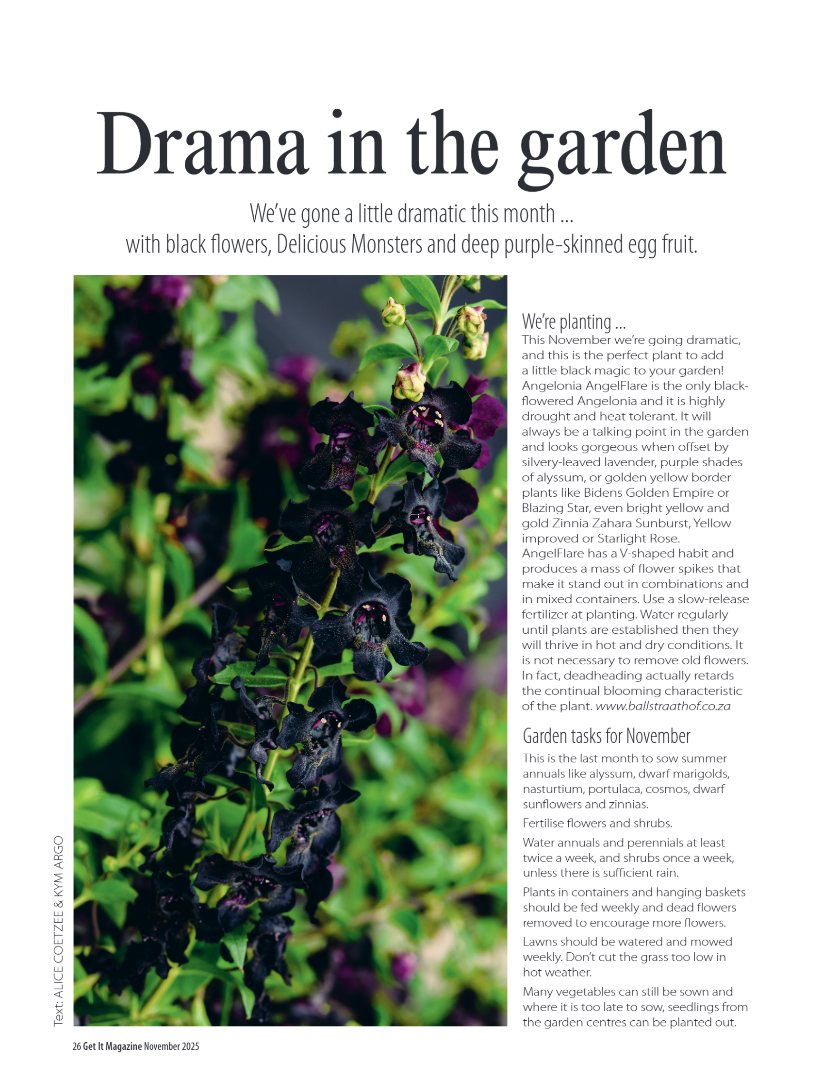 Get it JHB West – November 2025 page 26