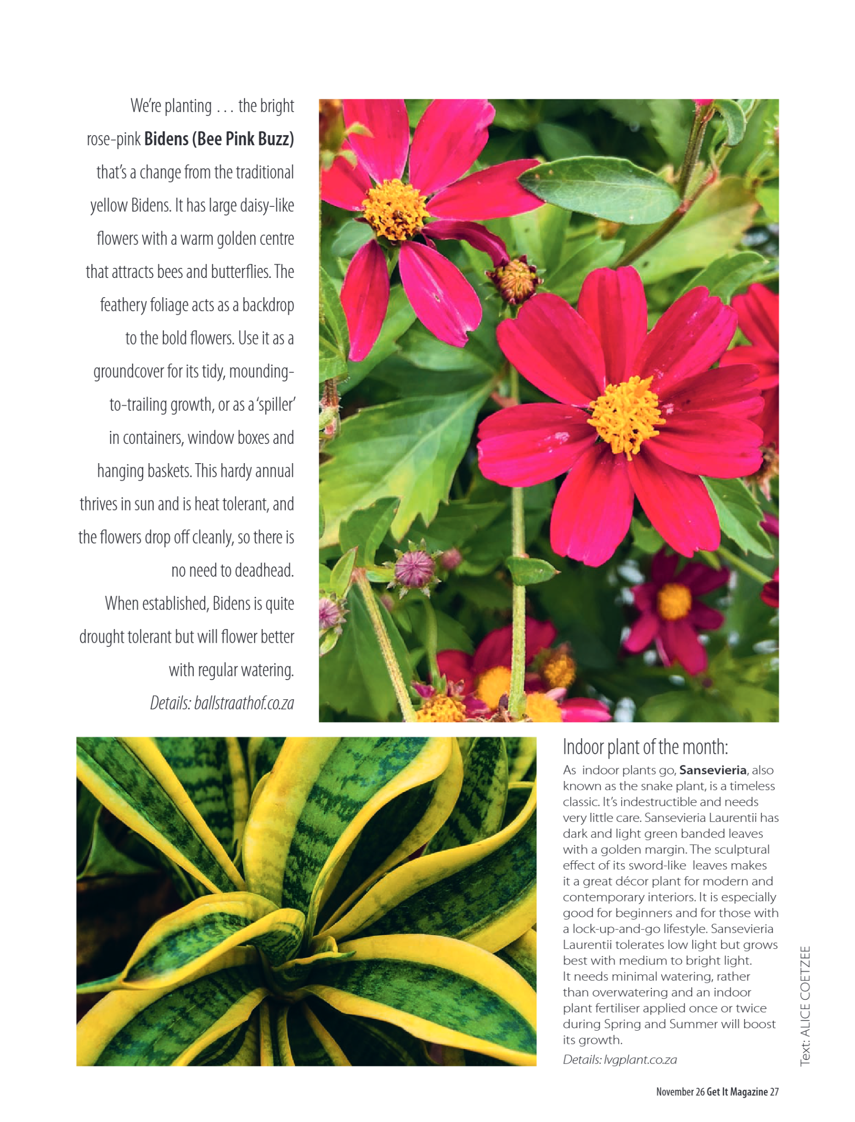 Get it JHB West – November 2026 page 27