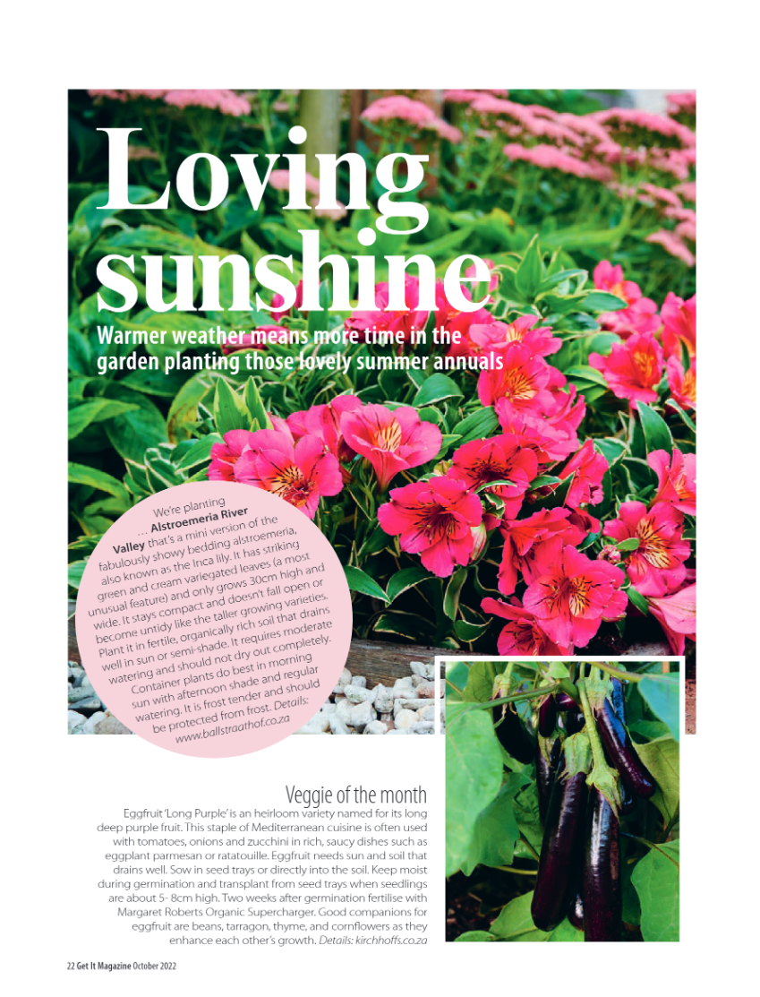 Get it JHB West – October 2022 page 22