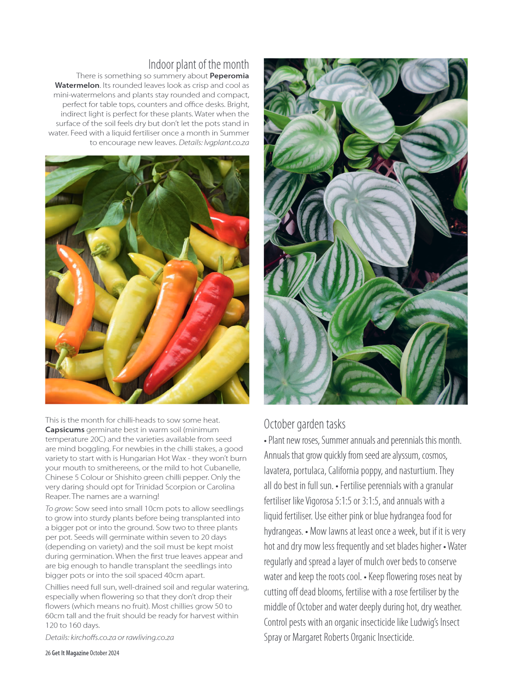 Get it JHB West – October 2024 page 26