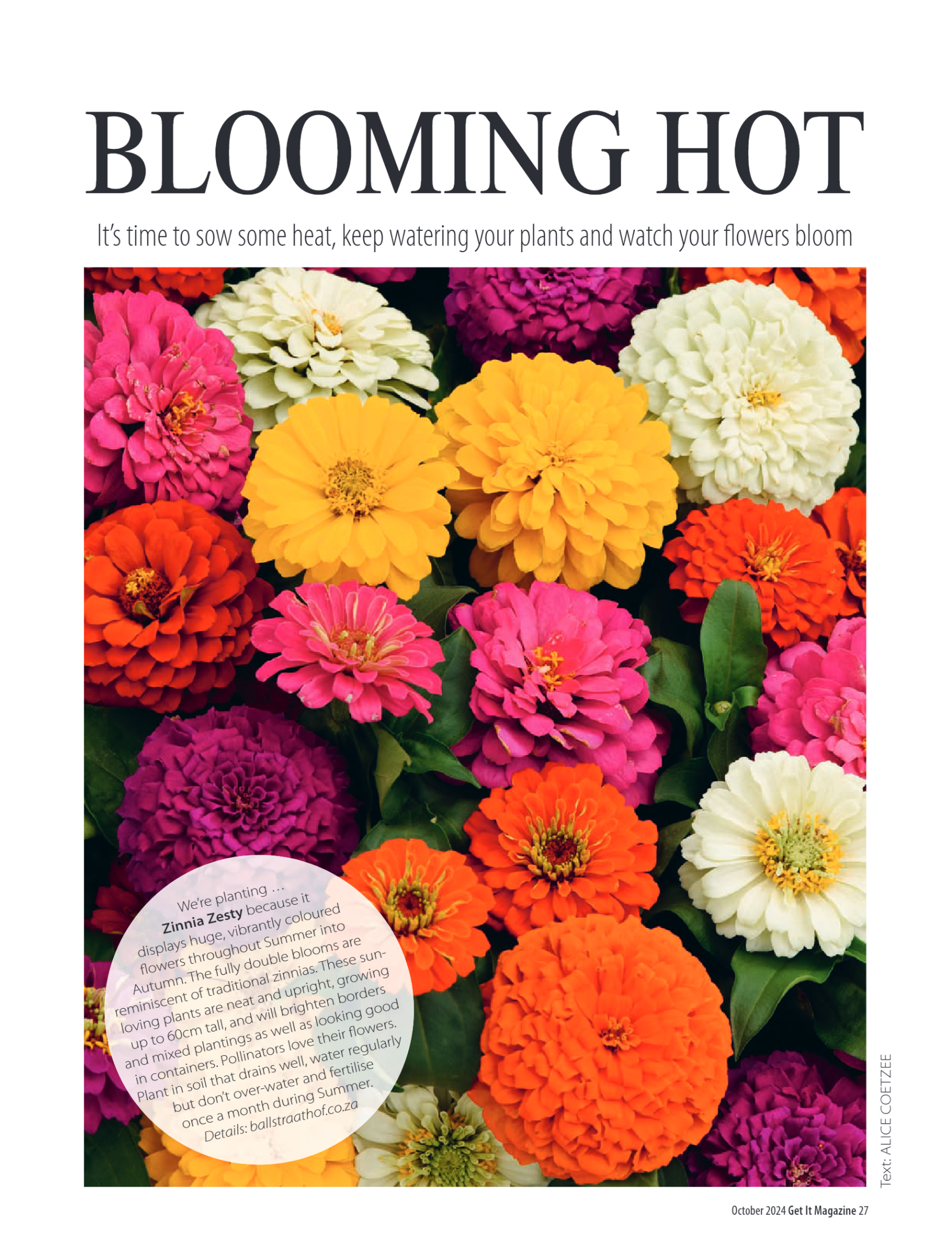 Get it JHB West – October 2024 page 27