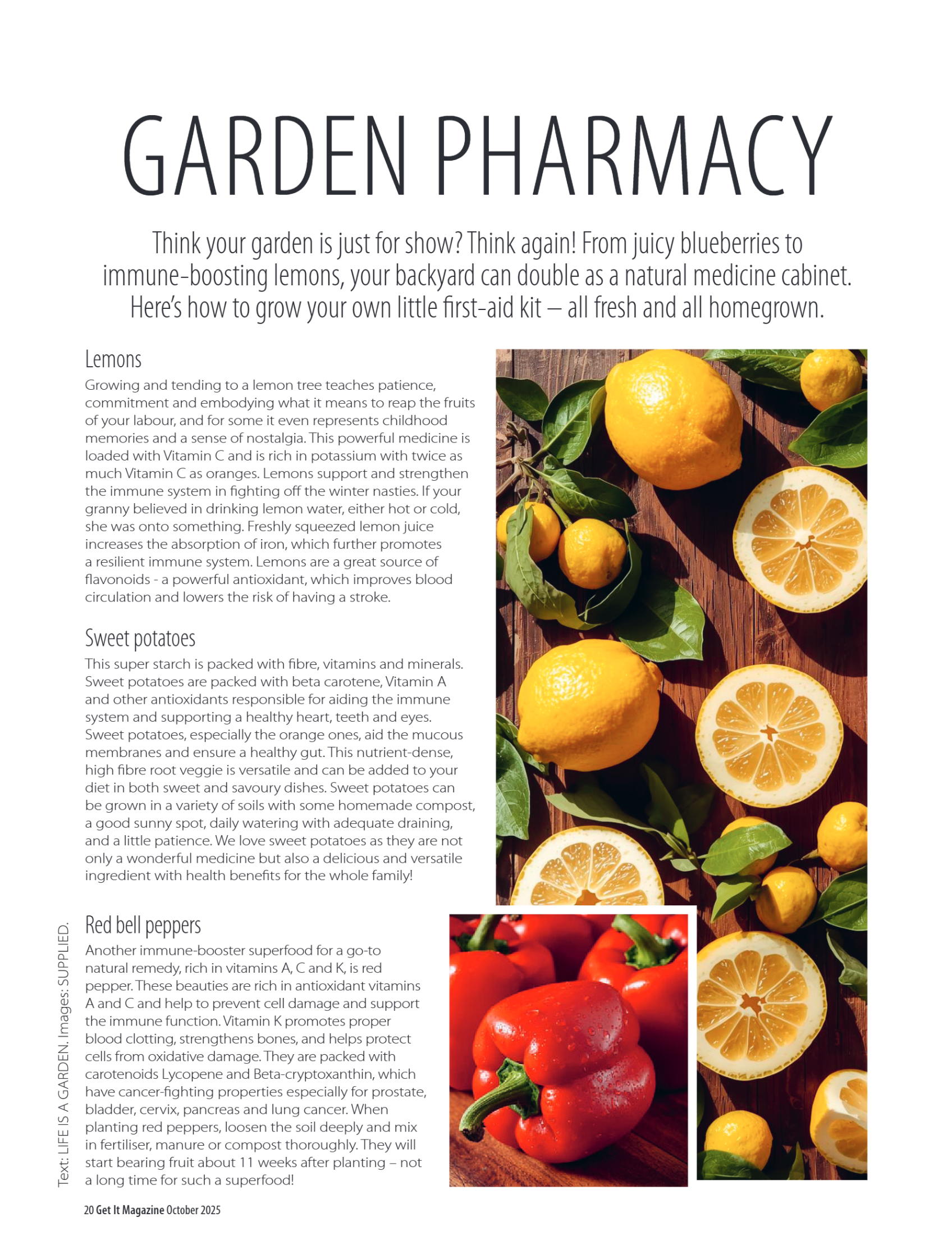 Get it JHB West – October 2025 page 20