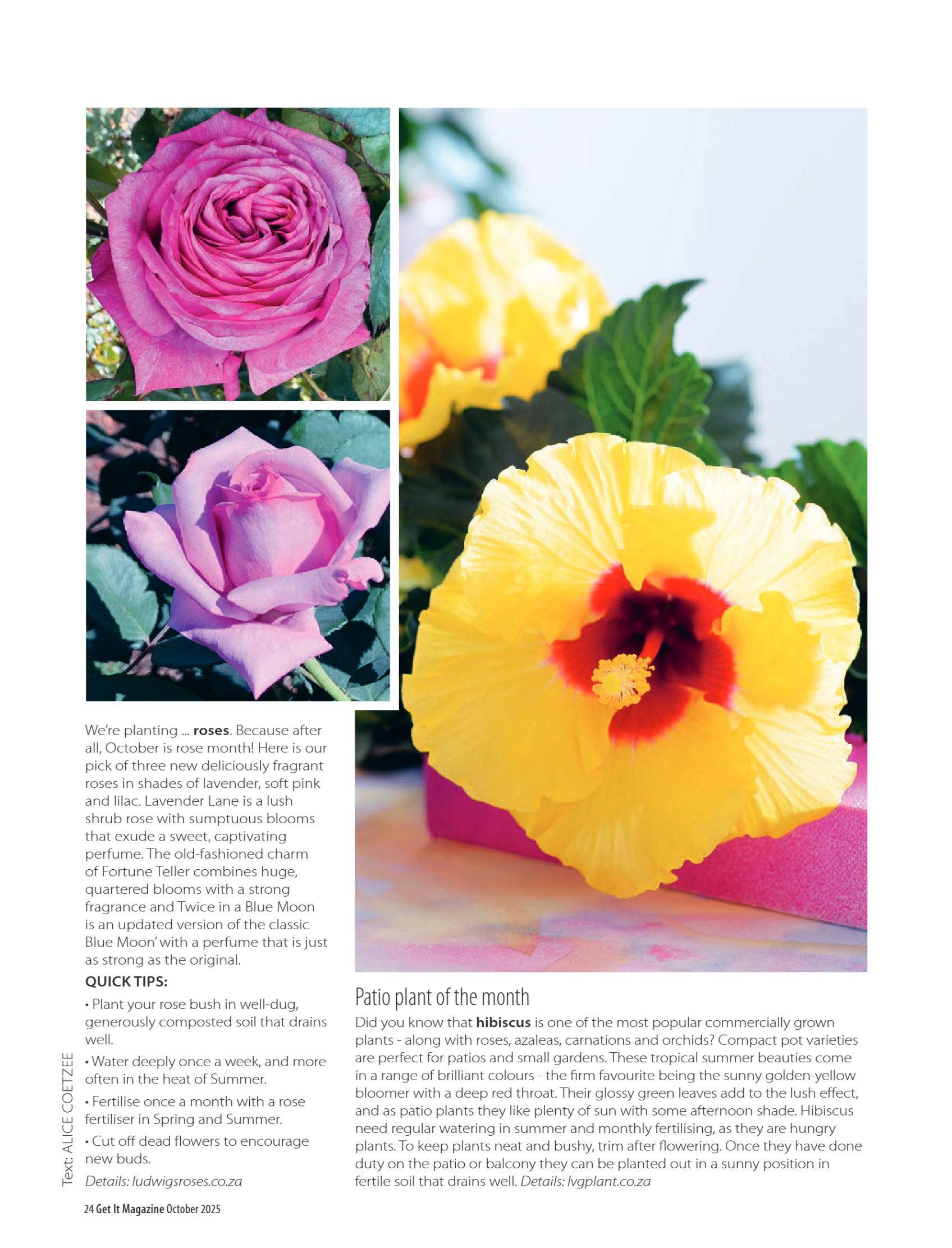 Get it JHB West – October 2025 page 24