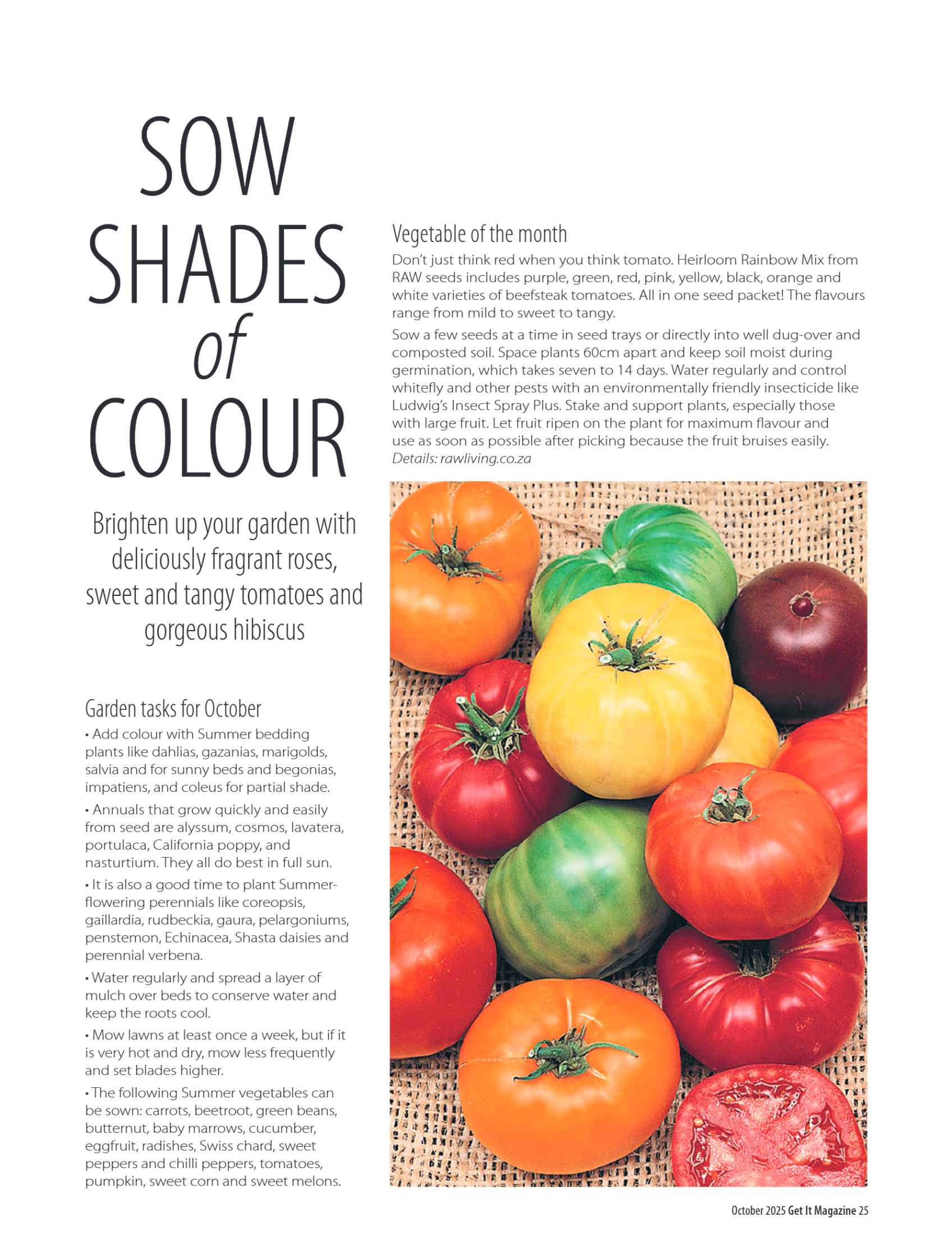 Get it JHB West – October 2025 page 25