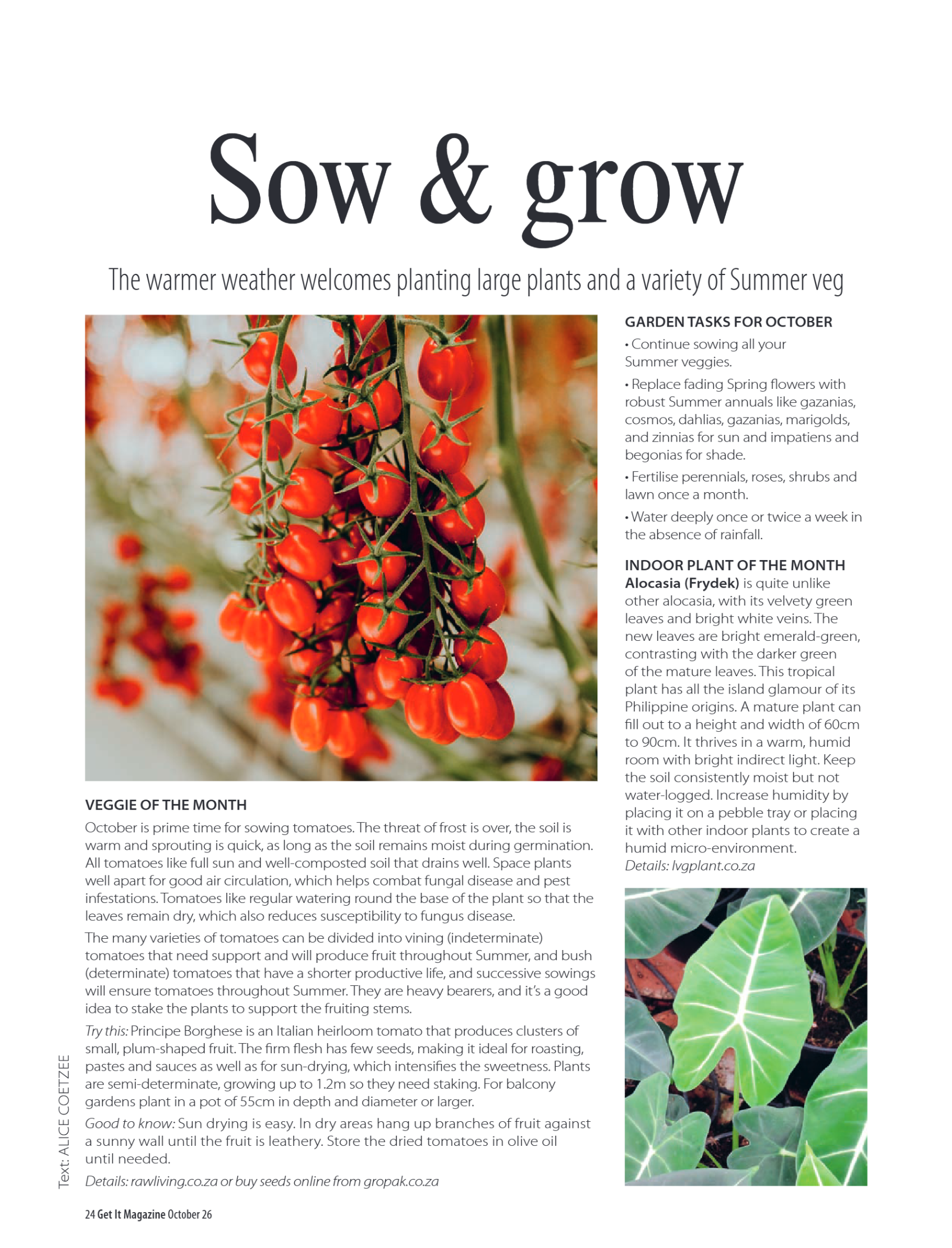 Get it JHB West – October 2026 page 24