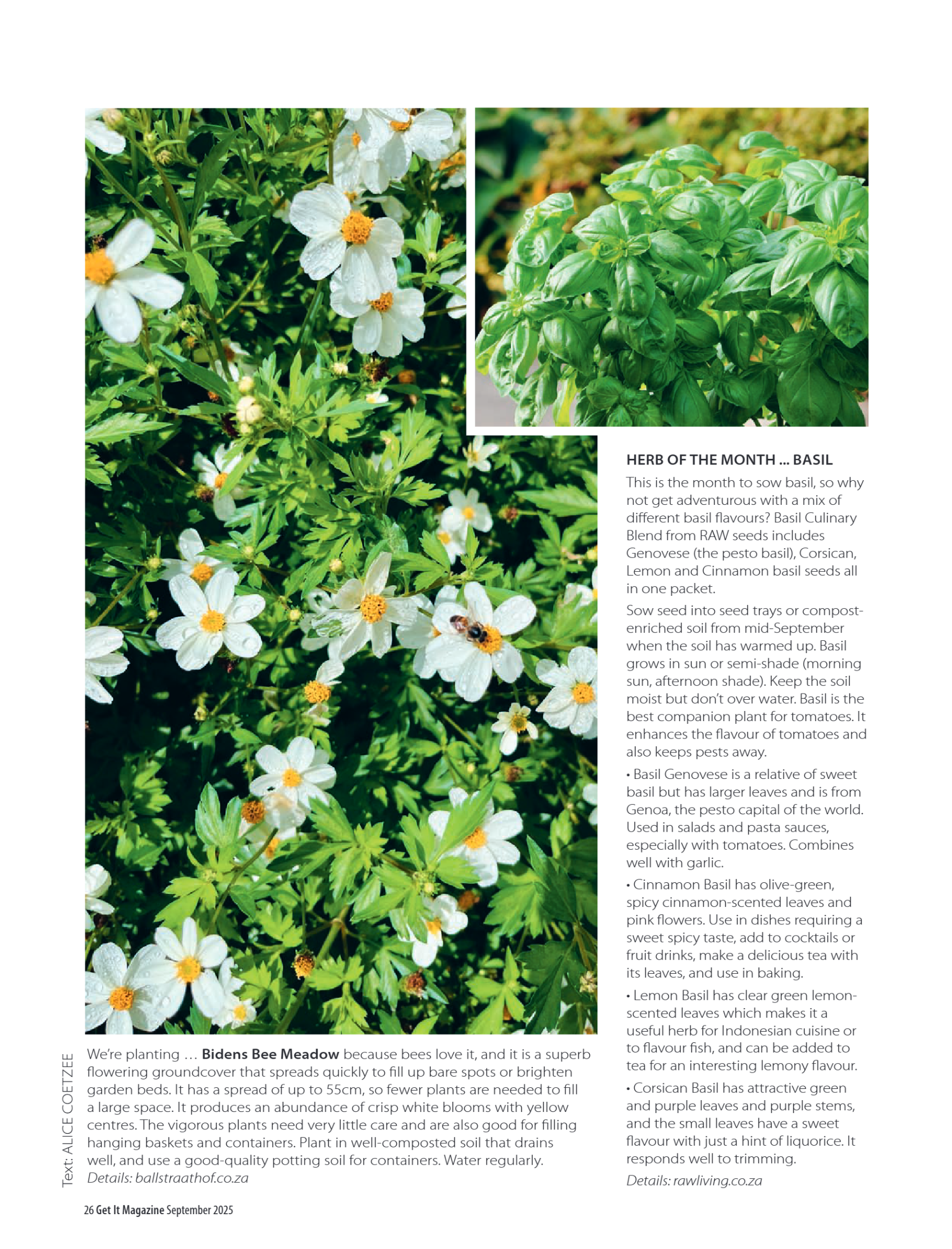 Get it JHB West – September 2025 page 26