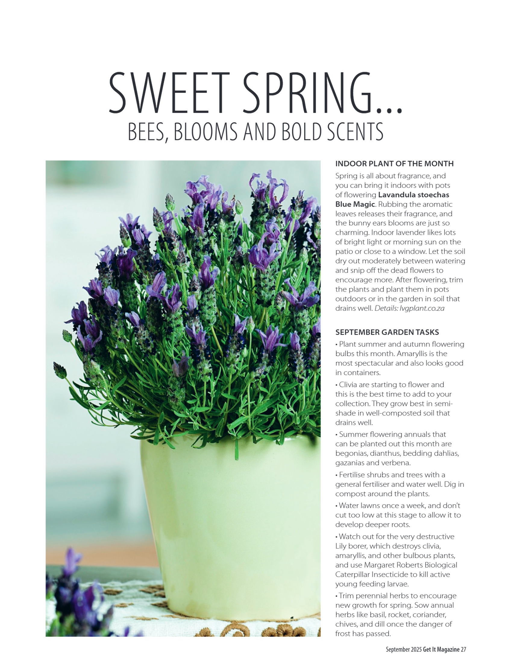 Get it JHB West – September 2025 page 27